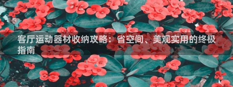 意昂3娱乐：客厅运动器材收纳攻略：省空间、美观实用的