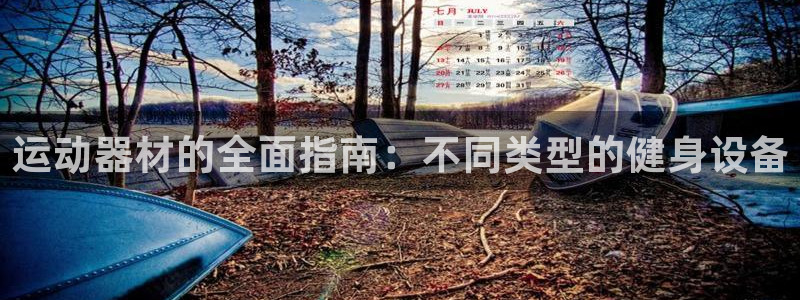 意昂体育3招商电话是多少：运动器材的全面指南：不同类