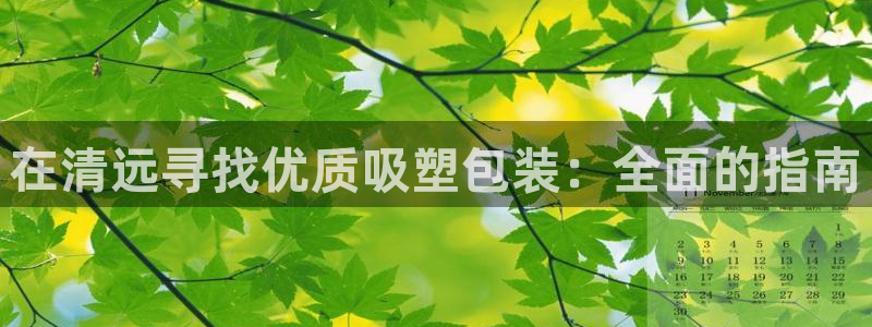 意昂3新能源：在清远寻找优质吸塑包装：全面的指南