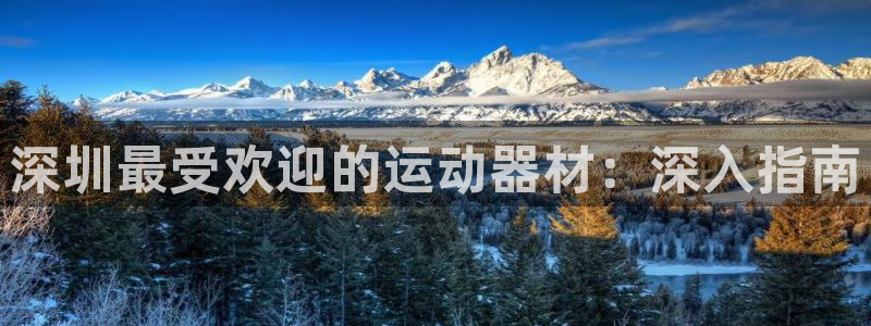 意昂3神州：深圳最受欢迎的运动器材：深入指南