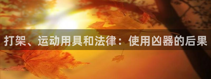 意昂3娱乐网站：打架、运动用具和法律：使用凶器的后果