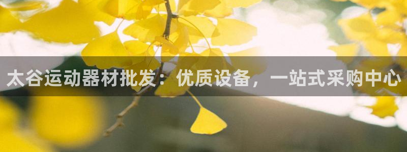 意昂体育3平台APP