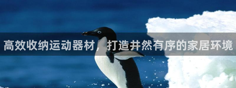 意昂体育3注册：高效收纳运动器材，打造井然有序的家居