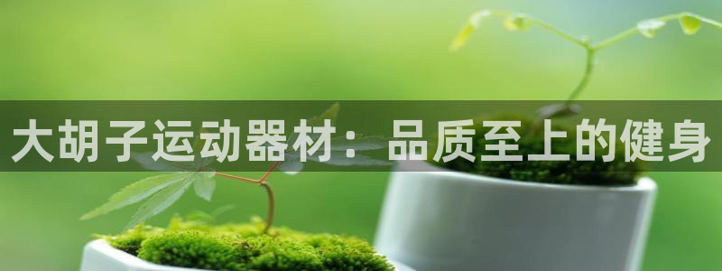 意昂3娱乐：大胡子运动器材：品质至上的健身