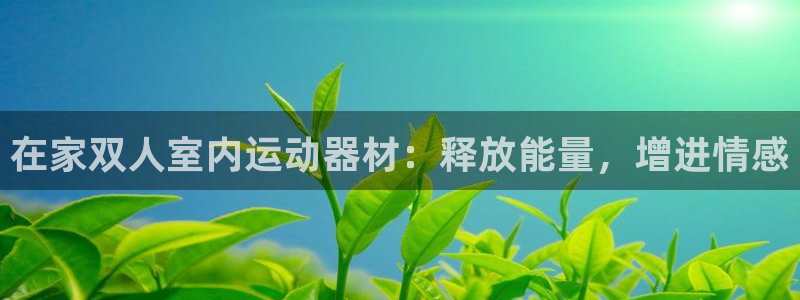 德国意昂3集团：在家双人室内运动器材：释放能量，增进情感