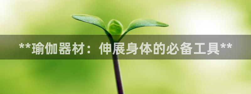 意昂3科技：**瑜伽器材：伸展身体的必备工具**