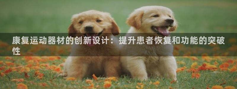意昂体育3平台注册：康复运动器材的创新设计：提升患者