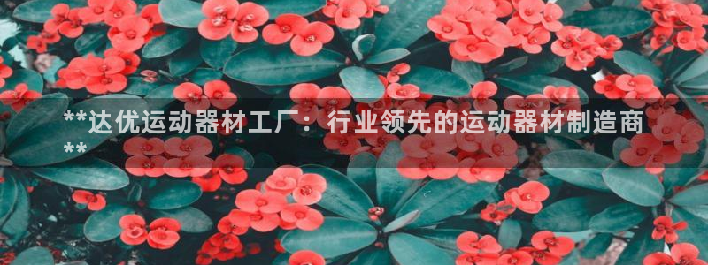意昂3娱乐40996：**达优运动器材工厂：行业领先