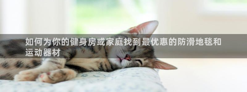 意昂体育3平台注册流程图：如何为你的健身房或家庭找到