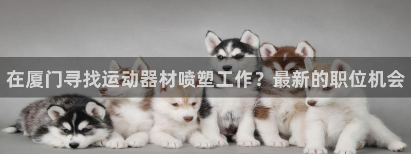 意昂体育3平台注册要钱吗：在厦门寻找运动器材喷塑工作