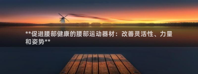 德国意昂3集团：**促进腰部健康的腰部运动器材：改善