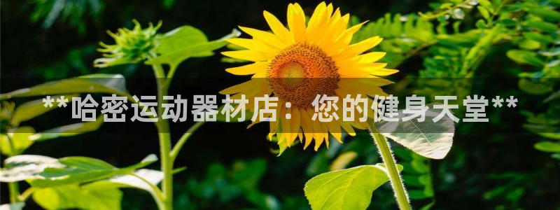 意昂3集团官网首页：**哈密运动器材店：您的健身天堂