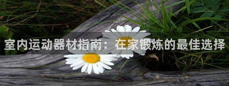意昂体育3招商电话地址查询：室内运动器材指南：在家锻