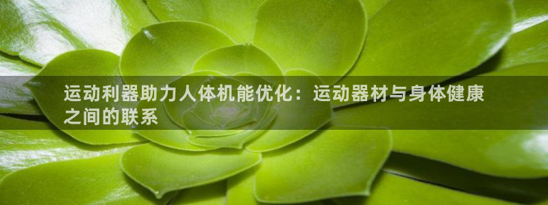 意昂3科技：运动利器助力人体机能优化：运动器材与身体