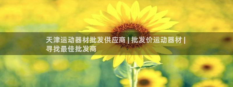 意昂3集团：天津运动器材批发供应商 | 批发价运动器