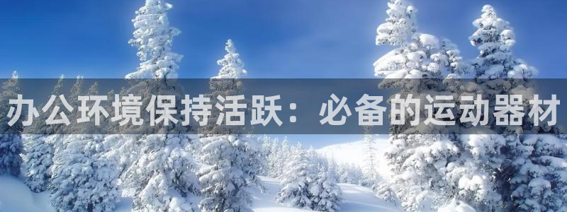 意昂3集团简介：办公环境保持活跃：必备的运动器材