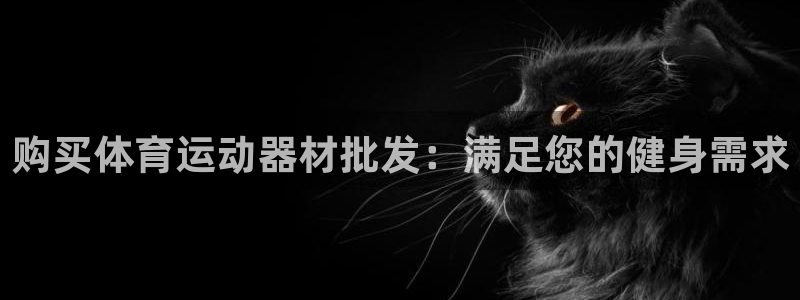 意昂3娱乐40996：购买体育运动器材批发：满足您的