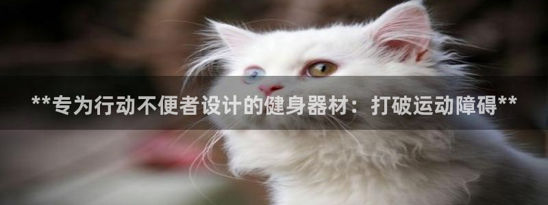 意昂体育3平台注册要钱吗：**专为行动不便者设计的健