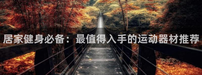 意昂3娱乐：居家健身必备：最值得入手的运动器材推荐