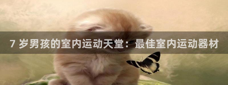意昂体育3平台注册流程视频：7 岁男孩的室内运动天堂