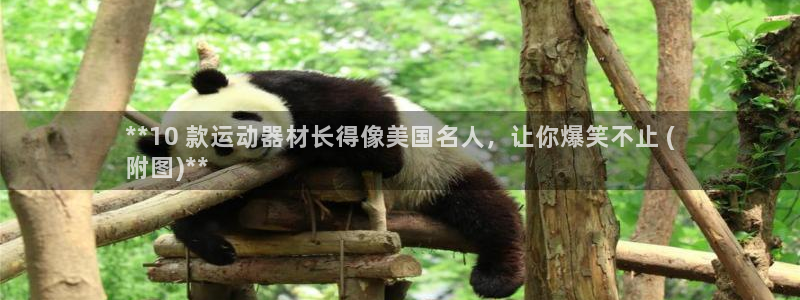 意昂体育3招商电话地址：**10 款运动器材长得像美