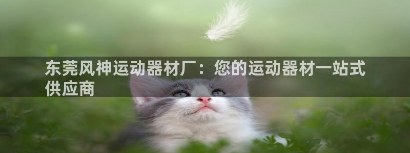 意昂体育3娱乐：东莞风神运动器材厂：您的运动器材一站