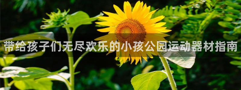 意昂体育3平台假的吗是真的吗：带给孩子们无尽欢乐的小