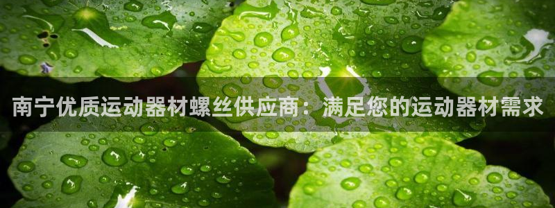 意昂体育3招商电话：南宁优质运动器材螺丝供应商：满足