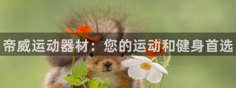 意昂体育3平台注册流程图：帝威运动器材：您的运动和健