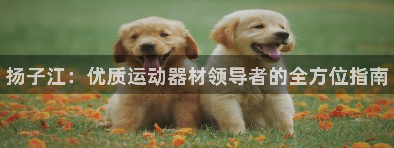 意昂体育3平台注册要钱吗：扬子江：优质运动器材领导者的全方位