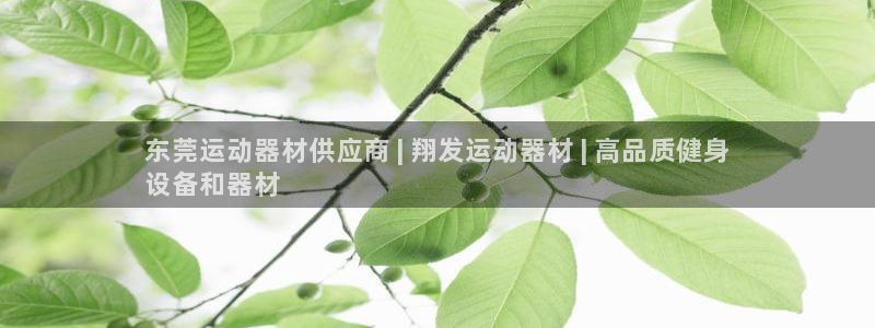 意昂体育3平台注册要钱吗安全吗：东莞运动器材供应商 