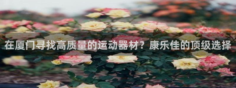 意昂3娱乐首页网站大全：在厦门寻找高质量的运动器材？康乐佳的