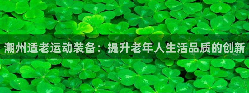 意昂体育3招商电话：潮州适老运动装备：提升老年人生活品质的创