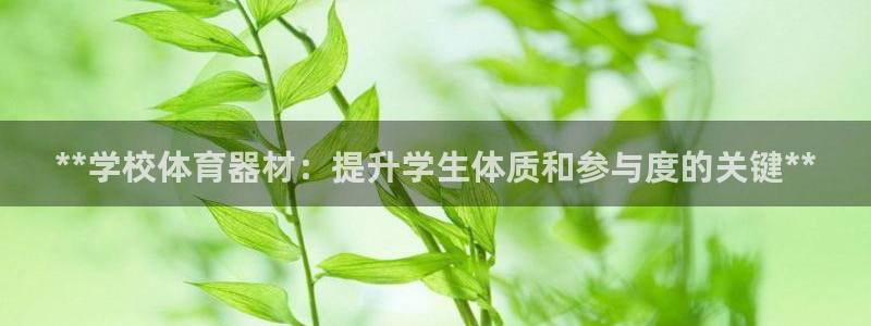意昂体育3招商电话地址查询：**学校体育器材：提升学生体质和