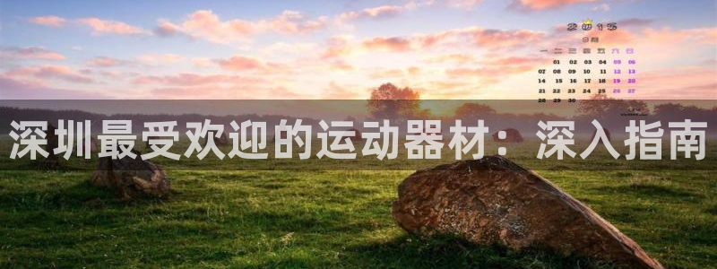意昂体育3：深圳最受欢迎的运动器材：深入指南