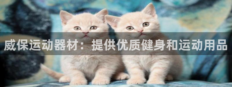 意昂3娱乐代理怎么样：威保运动器材：提供优质健身和运动用品
