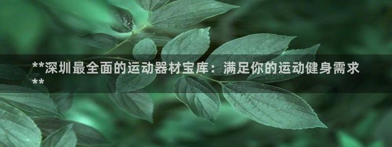 意昂体育3招商电话地址查询：**深圳最全面的运动器材