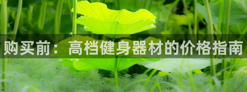 意昂3娱乐平台：购买前：高档健身器材的价格指南