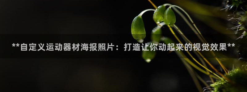 意昂体育3软件：**自定义运动器材海报照片：打造让你动起来的