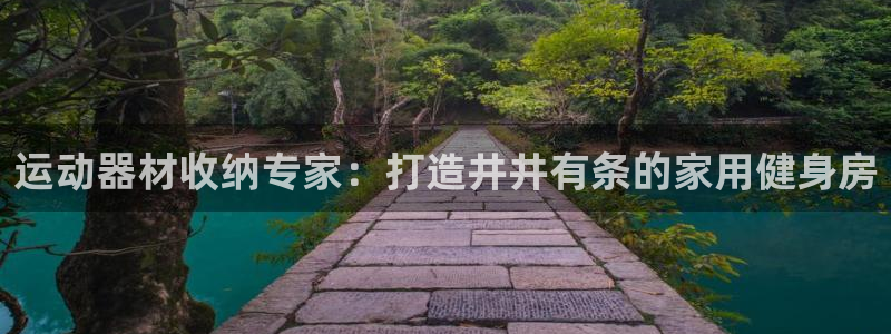 意昂3集团logo：运动器材收纳专家：打造井井有条的