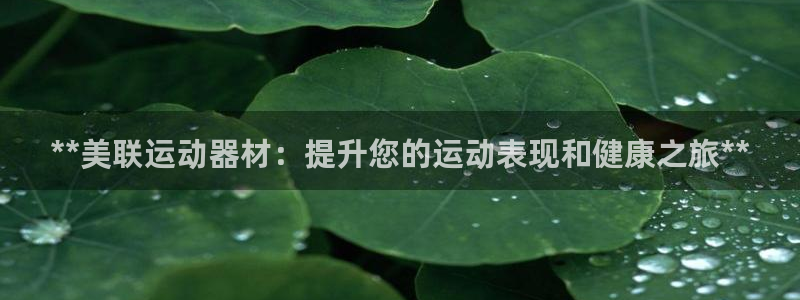 意昂3集团E.ON：**美联运动器材：提升您的运动表