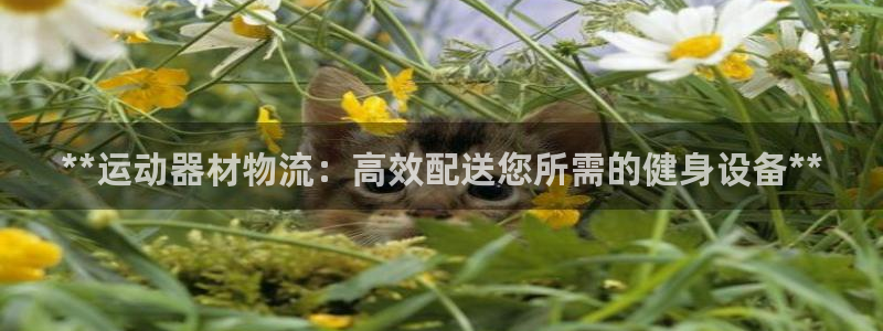 意昂体育3联系电话：**运动器材物流：高效配送您所需
