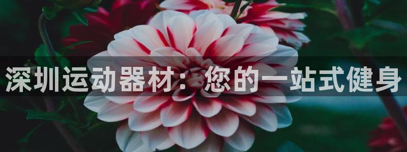 意昂体育3软件：深圳运动器材：您的一站式健身