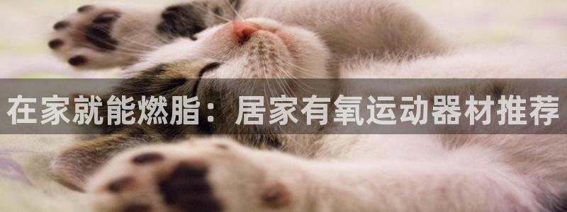 意昂3五金厂：在家就能燃脂：居家有氧运动器材推荐
