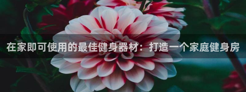 意昂3娱乐首页网站大全：在家即可使用的最佳健身器材：