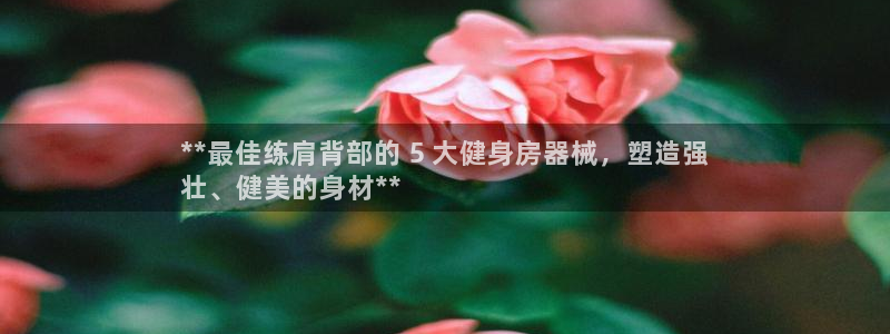 意昂3集团简介：**最佳练肩背部的 5 大健身房器械