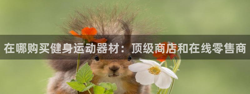 意昂体育3招商电话号码是多少啊：在哪购买健身运动器材