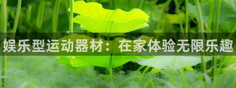 意昂体育3招商电话号码：娱乐型运动器材：在家体验无限