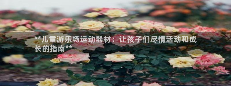 意昂体育3平台注册要钱吗是真的吗：**儿童游乐场运动