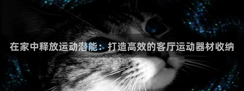 意昂体育3软件：在家中释放运动潜能：打造高效的客厅运